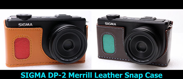 VanGoddy Sparta Travel Backpack for Sigma DP3 Merrill Black and Gray DP1 Merrill Digital Cameras and Mini Tripod and Screen Protector DP2 Merrill