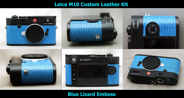 Blue Lizard