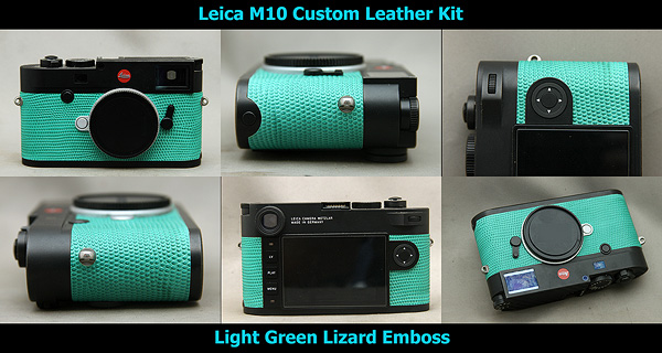 Light Green Lizard
